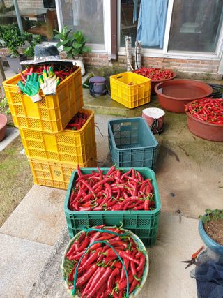 양파5749님의 자유주제 · 자유게시판 작성글 사진