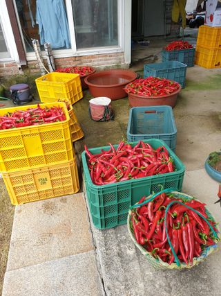 양파5749님의 자유주제 · 자유게시판 작성글 사진