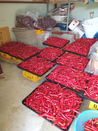 양파5749님의 자유주제 · 자유게시판 작성글 사진