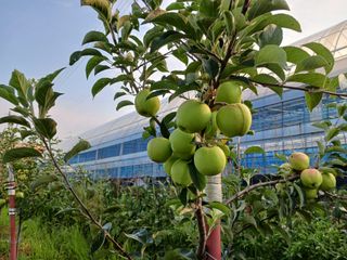 김광기님의 자유주제 · 자유게시판 작성글 사진