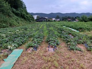 김광기님의 자유주제 · 자유게시판 작성글 사진