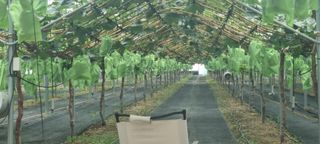 샤인머스마님의 자유주제 · 자유게시판 작성글 사진