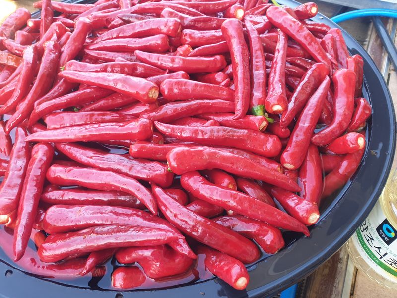 알 수 없음님의 장터 판매 상품 [고추가루] 첨부 사진