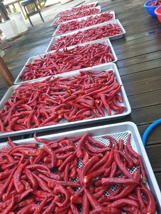 알 수 없음님의 작성글 사진