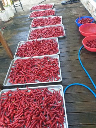 알 수 없음님의 작성글 사진