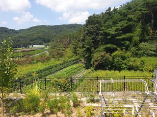 알 수 없음님의 작성글 사진