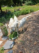 팜모닝 자유주제·자유게시판 게시글 이미지