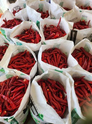 김창순님의 자유주제 · 자유게시판 작성글 사진