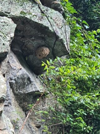 심수보 님의 팜모닝 · 출석 작성글 사진