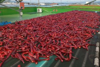 농부들의아지트님의 자유주제 · 자유게시판 작성글 사진