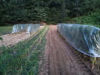 다소농원님의 자유주제 · 자유게시판 작성글 사진