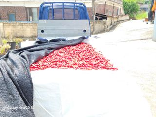 이윤미님의 자유주제 · 자유게시판 작성글 사진