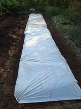 팜모닝 ☀️8월 농작업 계획·참여글 게시글 이미지