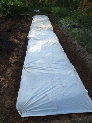 김애승님의 ☀️8월 농작업 계획 · 참여글 작성글 사진