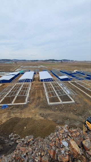 맥문동 천문동님의 자유주제 · 자유게시판 작성글 사진