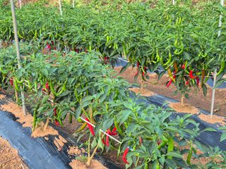 성범현님의 자유주제 · 자유게시판 작성글 사진