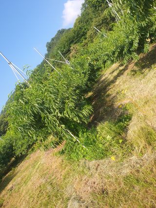 반시님의 자유주제 · 자유게시판 작성글 사진