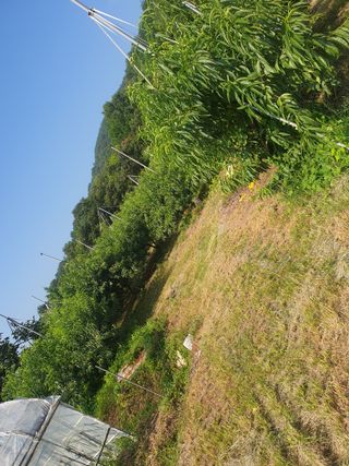 반시님의 자유주제 · 자유게시판 작성글 사진