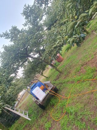 반시님의 자유주제 · 자유게시판 작성글 사진