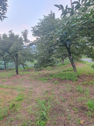 반시님의 자유주제 · 자유게시판 작성글 사진