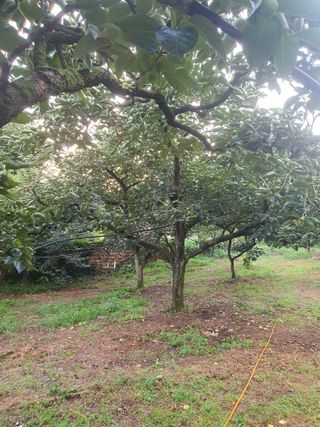 반시님의 자유주제 · 자유게시판 작성글 사진