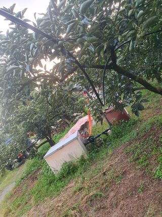 반시님의 자유주제 · 자유게시판 작성글 사진