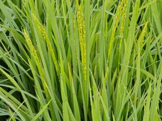 유종환님의 자유주제 · 자유게시판 작성글 사진