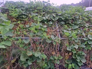 온시디움님의 자유주제 · 자유게시판 작성글 사진