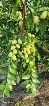 팜모닝 자유주제·자유게시판 게시글 이미지