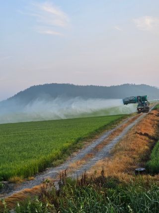 땅끝해남님의 벼 · 영농일지 작성글 사진