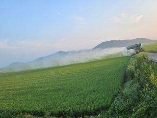 땅끝해남님의 벼 · 영농일지 작성글 사진