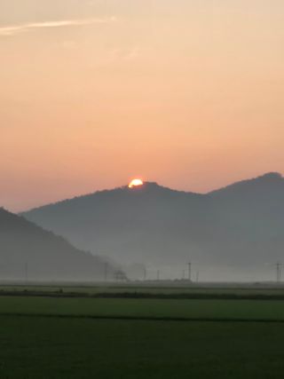 땅끝해남님의 벼 · 영농일지 작성글 사진