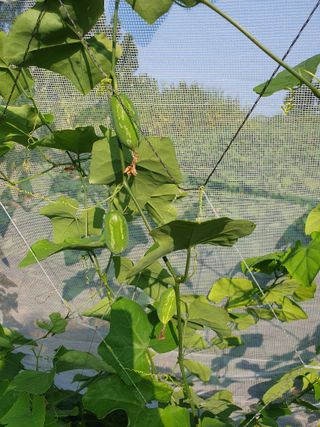 평강님의 자유주제 · 자유게시판 작성글 사진