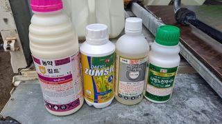 파릇파릇님의 시금치 · 일상 작성글 사진