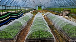 요리하는 농부님의 배추 · 영농일지 작성글 사진