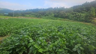 요리하는 농부님의 자유주제 · 자유게시판 작성글 사진