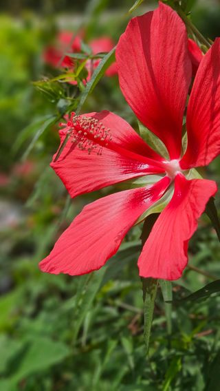 요리하는 농부님의 자유주제 · 자유게시판 작성글 사진