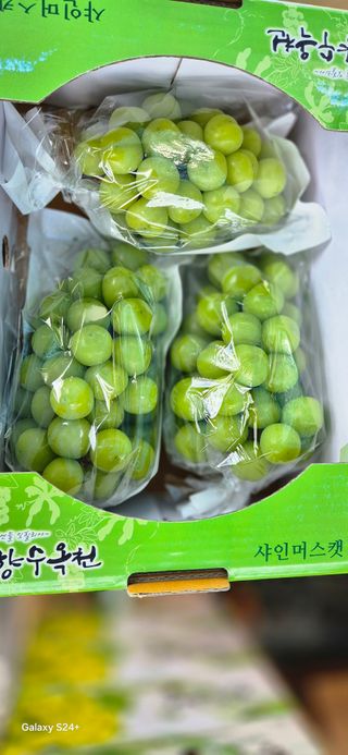 샤인 초보농부 님의 ☀️8월 농작업 계획 · 참여글 작성글 사진