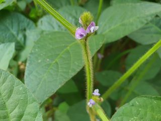 안씨농원님의 자유주제 · 자유게시판 작성글 사진