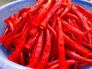 안씨농원님의 자유주제 · 자유게시판 작성글 사진