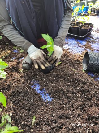 김선웅[포포나무]님의 자유주제 · 자유게시판 작성글 사진