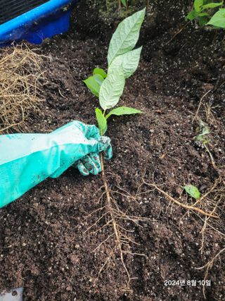 김선웅[포포나무]님의 자유주제 · 자유게시판 작성글 사진