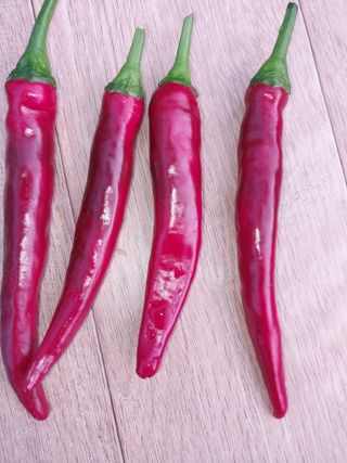 이남영님의 자유주제 · 자유게시판 작성글 사진