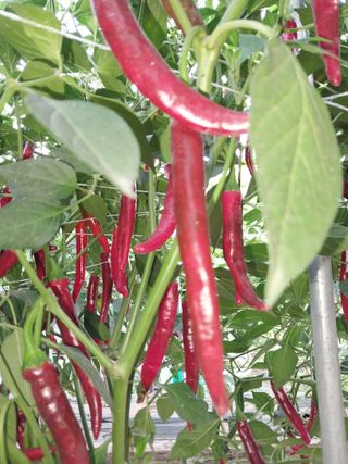 이남영님의 자유주제 · 자유게시판 작성글 사진