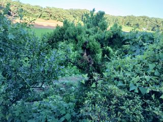 이규호님의 자유주제 · 자유게시판 작성글 사진