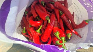 토마토21397님의 자유주제 · 자유게시판 작성글 사진