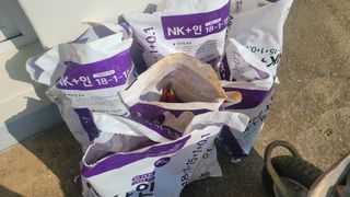 토마토21397님의 자유주제 · 자유게시판 작성글 사진