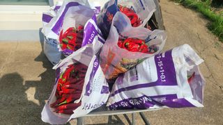 토마토21397님의 자유주제 · 자유게시판 작성글 사진