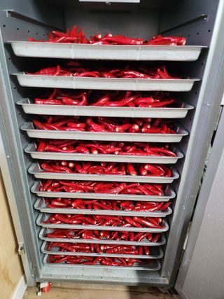 남광님의 고추 · 영농일지 작성글 사진