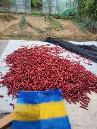 찬균park님의 자유주제 · 자유게시판 작성글 사진